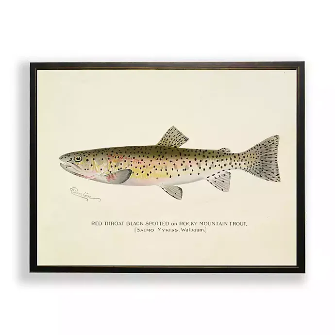 Outlet Kirklands Home Vintage Rocky Mountain Trout Framed Art Print