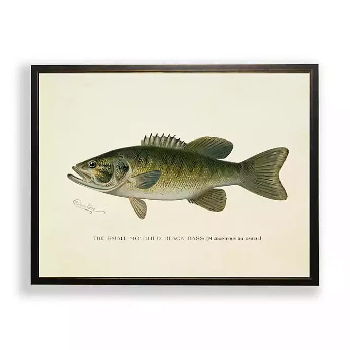 Online Kirklands Home Vintage Small Mouthed Bass Framed Art Print