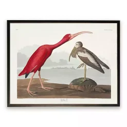 Hot Kirklands Home Vintage Waterbird Pair Bookplate Framed Art Print