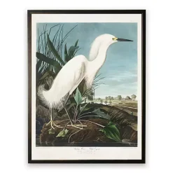 Discount Kirklands Home Vintage White Egret Bookplate Framed Art Print