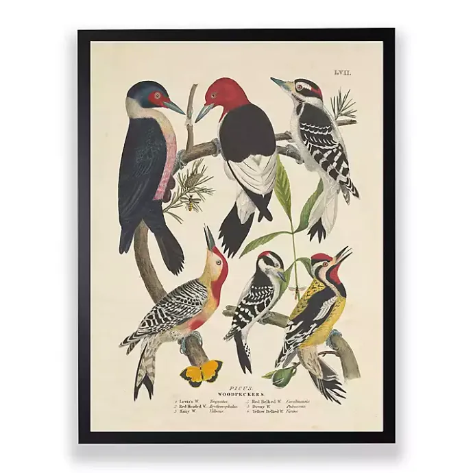 Kirklands Home Vintage Woodpecker Birds Framed Art Print