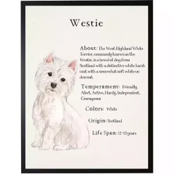 Clearance Kirklands Home Westie Facts Framed Wall Plaque