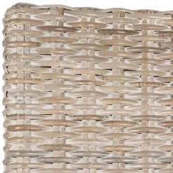 Sale Kirklands Home White Rattan Curved Legs Dining Chairs, Set of 2