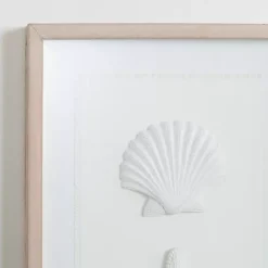 Discount Kirklands Home Shells Shadowbox Wall Plaque White