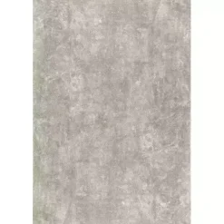 Kirklands Home Whitlow Shag Washable Area Rug, 6x9 Gray