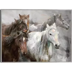 Hot Kirklands Home Wild Ride Framed Canvas Art Print