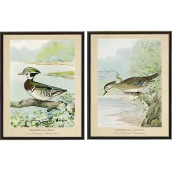 Clearance Kirklands Home Wood Duck Duo Framed Art Prints, Set of 2