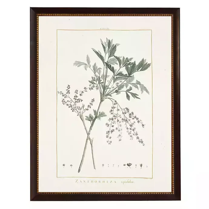 Clearance Kirklands Home Zanthorhiza Greenery Black Beaded Framed Art Print